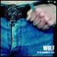 Wolf (SWE) : In the Shadow of Steel